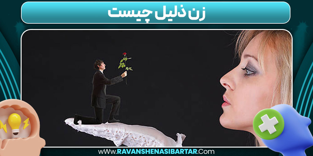زن ذلیل چیست