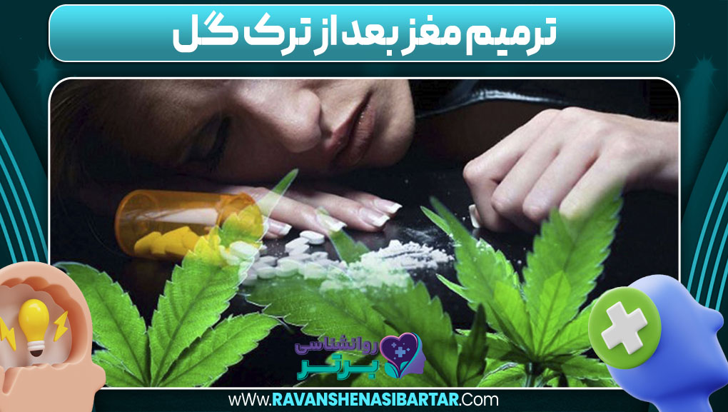 ترمیم مغز بعد از ترک گل