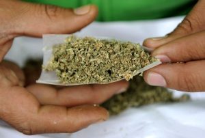 عوارض مصرف گل یا حشیش 