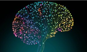 PDF نوروسایکولوژی